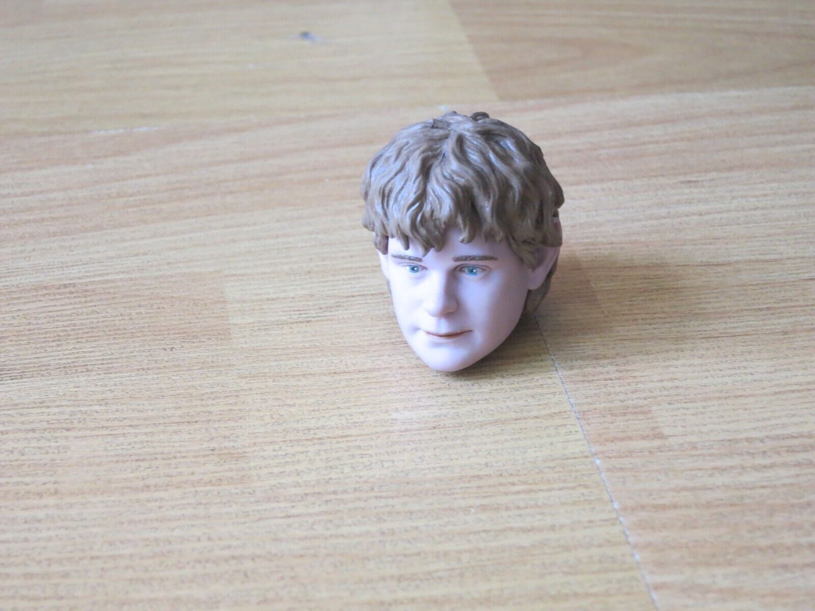 SIDESHOW Lord of the Rings 'Samwise' Loose 1/6th Scale Head Sculpt Sean Astin