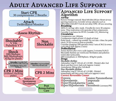 Advanced Life Support Algorithm Lanyard Reference Card - ALS ACLS | eBay