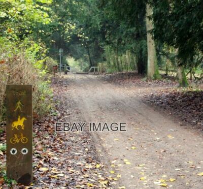 FOTO BESTWOOD COUNTRY PARK NOTTS NG6 HAUPTANTRIEB BEI NÄHERUNG VON GAUNT'S HILL