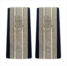 GENUINE U.S. COAST GUARD AUXILIARY ENHANCED SHOULDER BOARD: DCO - 1 STAR