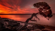 Landscape trees lake nature orange sky low Custom Gaming Mat Desk