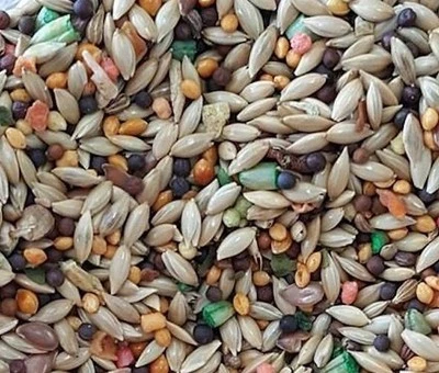 Canary Food Roller Cuisine Mix w/ Fruits, Vegetables & Vitamins **Choose size**