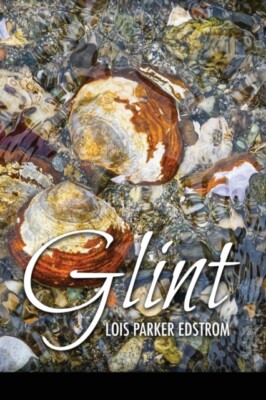 Edstrom - Glint - New paperback or softback - 85 - X555z