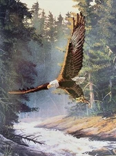Sunset Cross Stitch Kit Bald Eagle River Woods Printed Fabric USA VTG 18x24"