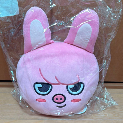 SKZOO PLUSH CUSHION DWAEKKI クッショントゥエッキ Stray Kids SKZOO Dwaekki Changbin face plush Cushion NEW JYP kpop