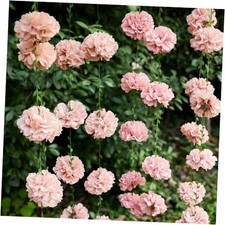 Dusty Pink Flower Garland for Bridal Shower Decorations, Baby 4 Pcs Nude Pink