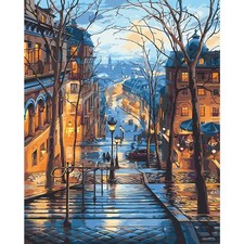 QYSFriday Paint by Numbers,Paint Numbers for Adults 16*20 inch, City Night 