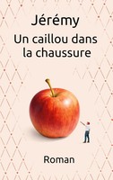 Un Caillou Dans La Chaussure | JéRéMy | FranzöSisch | Taschenbuch | 2026