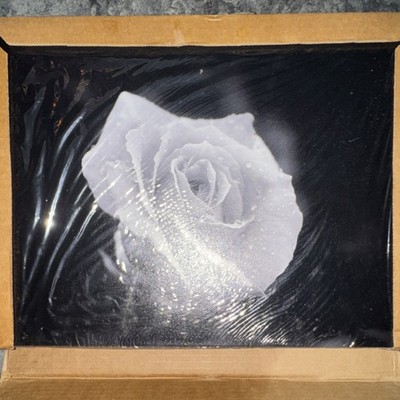  Black & White Rose Photograph on Canvas 12x16 Landscape