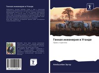 Ajebazibwe Jedgar | Gennaq Inzheneriq W Ugande | Taschenbuch | Russisch (2020)