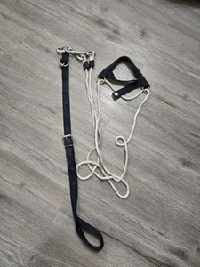 Chambon horse Training Aid For Lounging English Western Horse Tack