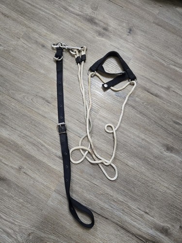 Chambon horse Training Aid For Lounging English Western Horse Tack