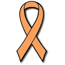 Orange Leukemia and Kidney Cancer Awareness Ribbon Car Magnet Decal Heavy Duty