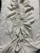 Enova Home Luxury Chair Covers Soft Cream Color - A0096