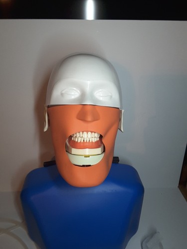Dental Chair Manikin Phantom Head Simulation Training Head Dentistry Student - Picture 5 of 12