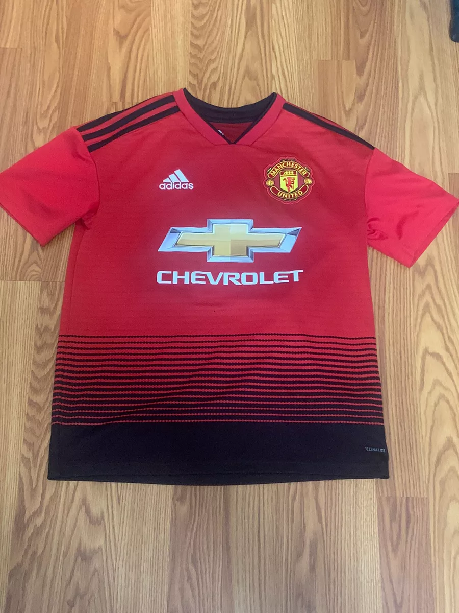 Manchester united hotsell jersey 2019 price