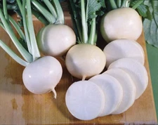 Seven Top, Turnip Seeds(Brassica rapa) | 600 Seeds - Heirloom, Non-GMO | USA