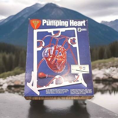 New Sealed Lindberg Three Dimensional Pumping Heart Model 11'' High Kit No. 71351
