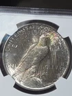 1922 $1 Peace Dollar NGC MS64 Toned