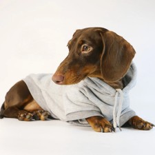 Cool Dog Sausage Hoodie for Small Dogs Warm Puppy Clothes Dachshund Pullover Mas