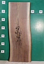 Beautiful Black Walnut Live Edge Slab 43.5"L x 16.5 to 14.5" W x 1.4" T #0706