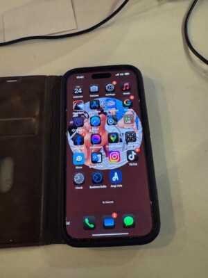 Apple iPhone 14 Pro Max - 256 GB - (AT&T) TikTok