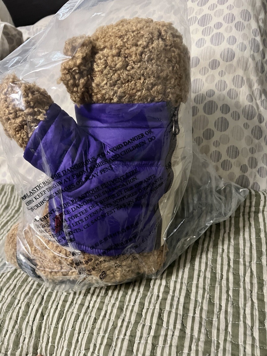 Supreme/The North Face Bear SS24 Season NEW | eBay