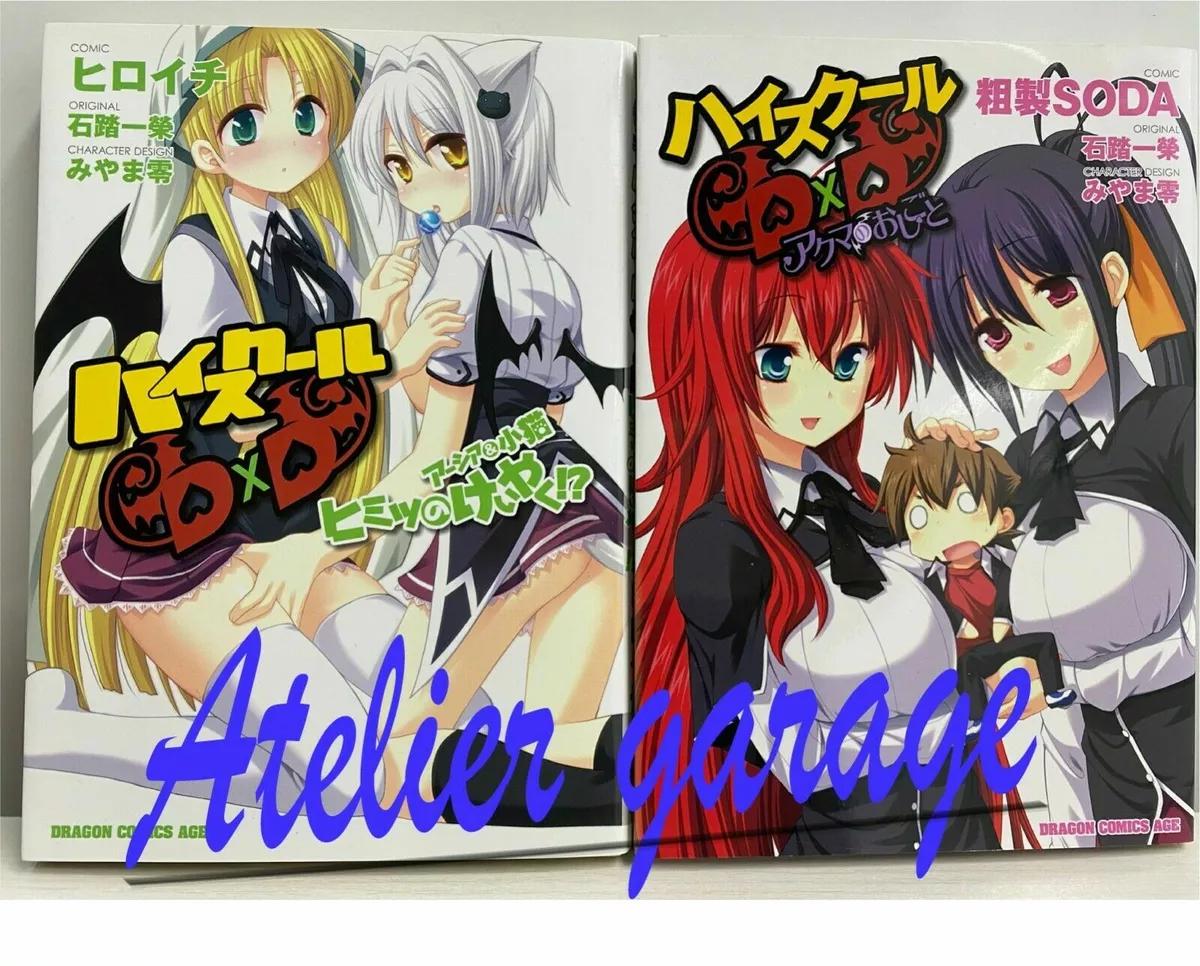 High School DxD, Vol. 11 (light novel) (High School DxD (light novel))