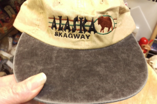 New Skagway Alaska Embroidered with bear hat Low Profile style w/ charcoal bill - Picture 1 of 4