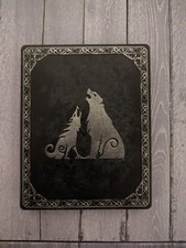 God of War Ragnarok Collector's Edition Steelbook: no game