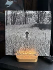 Taylor Swift Folklore in The Weeds (Limited Edition Deluxe, Vinyl LP, 2020)