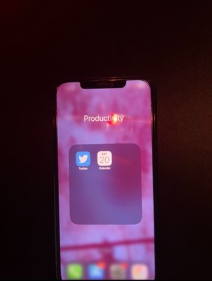 iPhone 12 Pro Max 512GB Original Twitter Logo Entsperrt