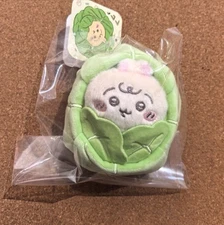 Hot Chiikawa Baby Usagi Rabbit Cabbage Plush Doll Store Limited Japanese New