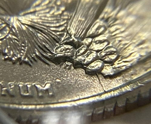 2008 P Arizona Quarter Die Breaks/Chips Double Die Lettering Extra Cactus Errors - Picture 12 of 19