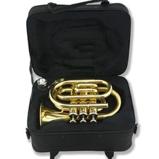 Bb Pocket Trumpet, Mini Brass Instrument for Beginners with 7C Mouthpiece Case