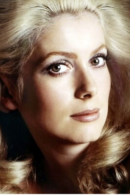 CATHERINE DENEUVE 4x6 Zoll ATEMBERAUBEND SCHÖNES GESICHTSPORTRAIT