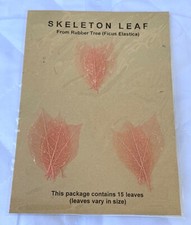 15 Vtg Rubber Tree Skeleton Leaves Scrapbooking Crafts FROSTED PASTEL CANDY PINK