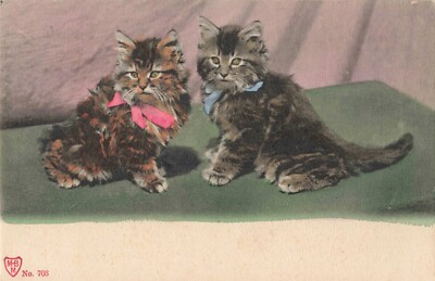 Cute Cats Kittens with Bows Ribbons c1905 Postcard