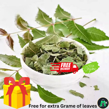 Organic Dried Neem Leaves 50g to 1kg Natural Herbal Remedy for Health  Wellness