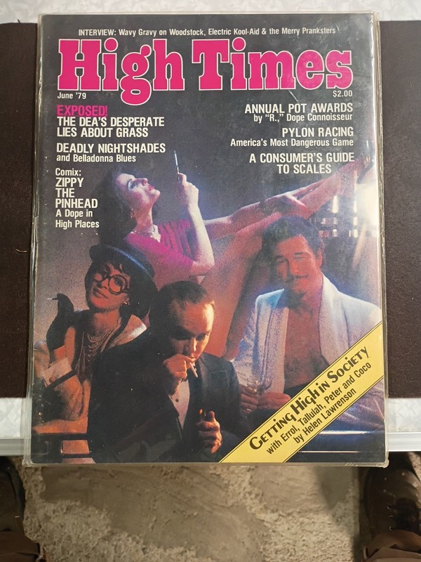 Vintage High Times Magazine JUNE 1979 Woodstock Zippy Pinhead Errol Tallulah