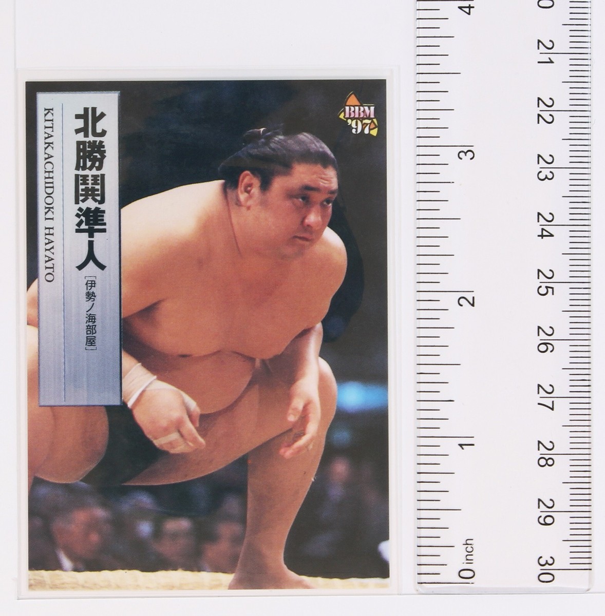 KITAKACHIDOKI HAYATO - 1997 BBM Sumo Wrestling Trading Card | eBay