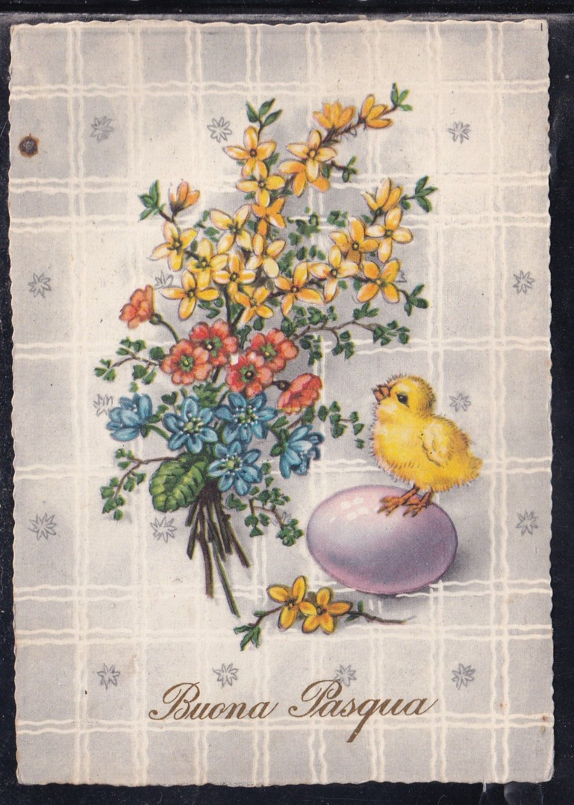 Cartolina Buona Pasqua Pulcini Uova Fiori ZB857