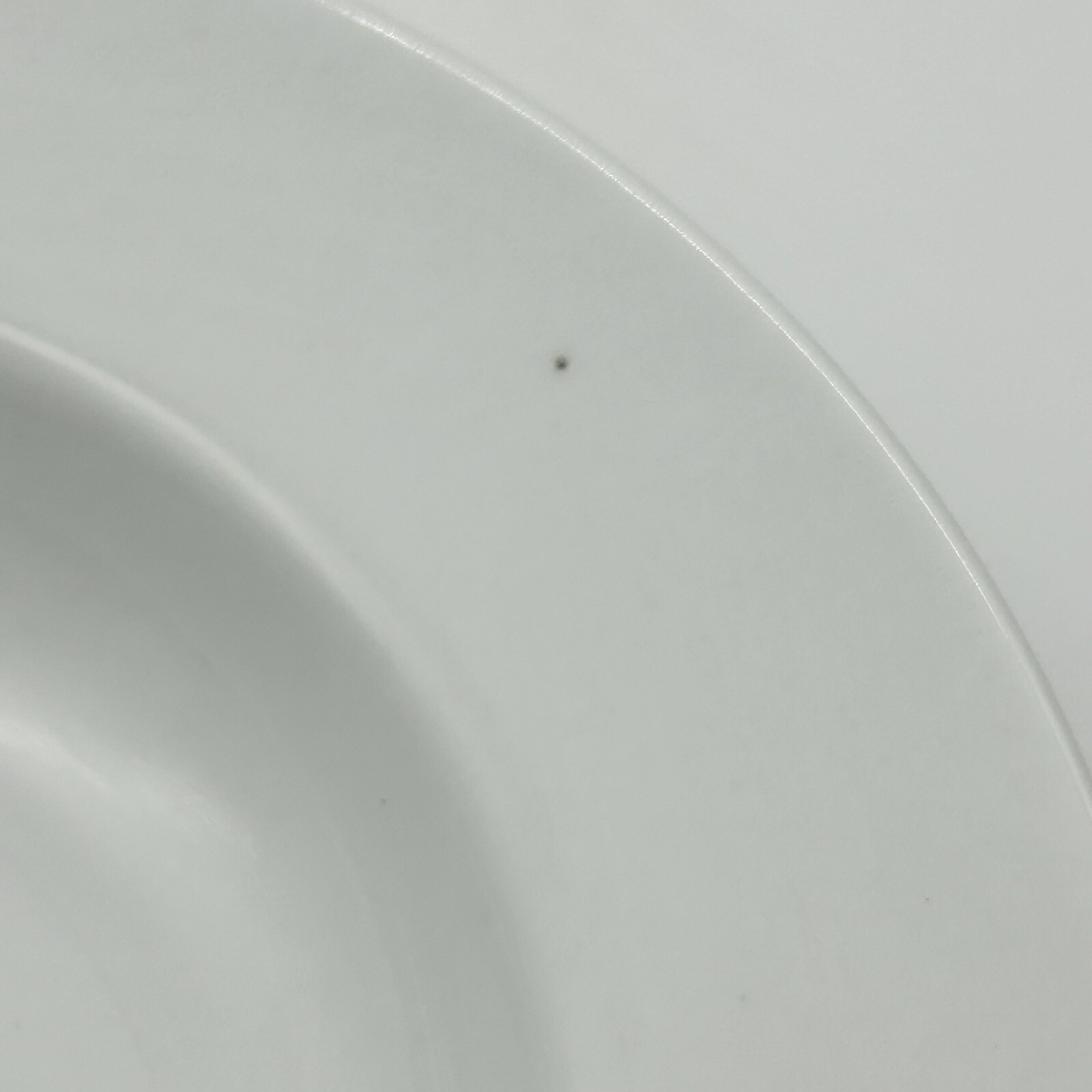 Pottery Barn Great White Large Rim Soup Pasta Bowl 10.25” Discontinued