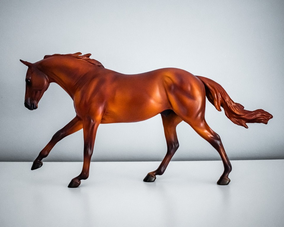 Breyer "Hal" 2019 BreyerFest Store Special Model Dundee/Australian