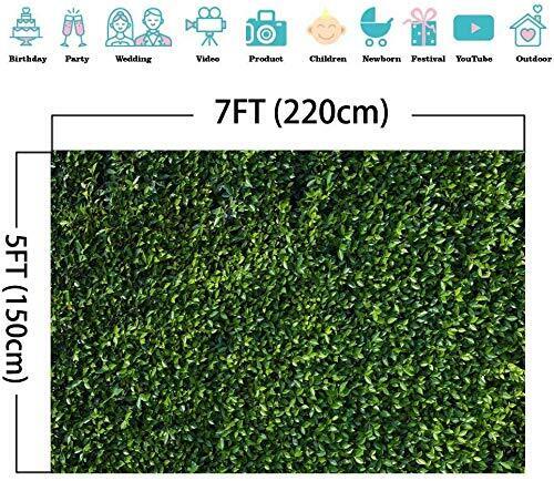 Green Leaves Photography Backdrops Spring Nature Outdoorsy Newborn Baby Showe... - Picture 5 of 6