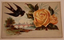 Victorian Trade Card Black Bird Flying by a Yellow Rose VTC 3