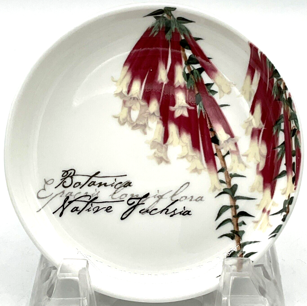 2008 The Gardens Table Maxwell & Williams Botanical Native Fuchsia