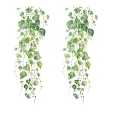 Green Plant Vine Wall Sticker - Evergreen Ivy Leaves for Bedroom  Living Roo...