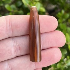 Polished Belemnite Fossil Crystal Mineral Specimen - Cretaceous South Carolina