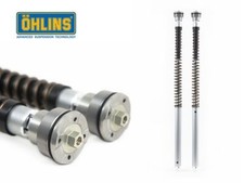 CARTUCCIA FORCELLA OHLINS NIX30 PER YAMAHA YZF R1 2015-2019 (KAYABA)